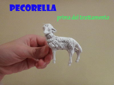 Pecorella nuda